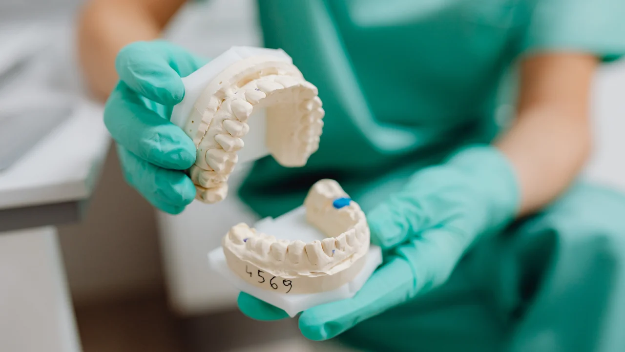Dentist demonstrating teeth alignment